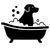 bath and brush dog groom