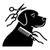 full groom dog icon