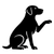 nail trim icon